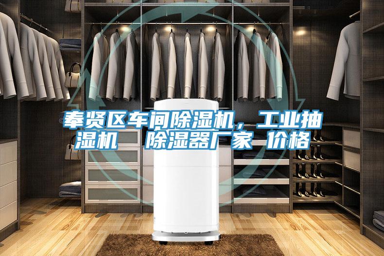 奉賢區(qū)車間除濕機(jī)，工業(yè)抽濕機(jī)  除濕器廠家 價格