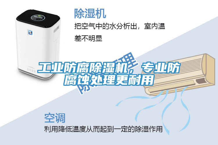 工業(yè)防腐除濕機，專業(yè)防腐蝕處理更耐用