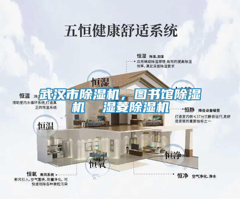 武漢市除濕機(jī)，圖書館除濕機(jī)  濕菱除濕機(jī)