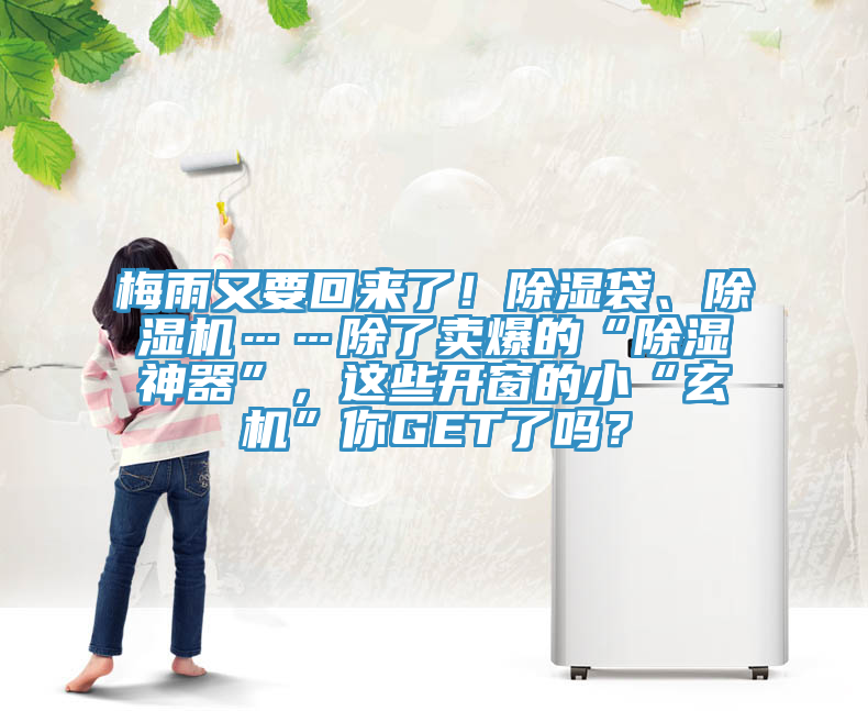 梅雨又要回來了！除濕袋、除濕機……除了賣爆的“除濕神器”，這些開窗的小“玄機”你GET了嗎？
