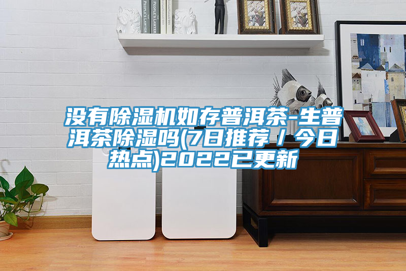 沒有除濕機如存普洱茶-生普洱茶除濕嗎(7日推薦／今日熱點)2022已更新