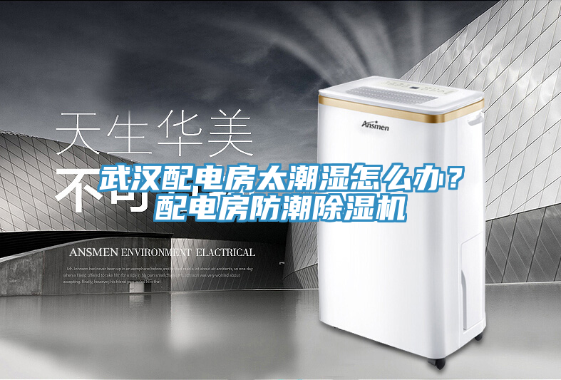 武漢配電房太潮濕怎么辦？配電房防潮除濕機(jī)