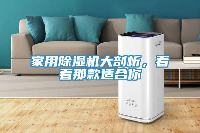 家用除濕機(jī)大剖析，看看那款適合你