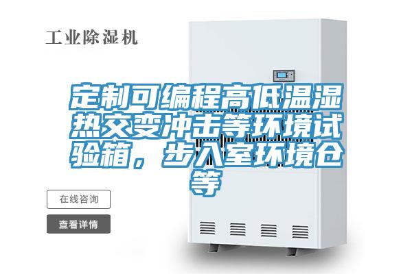 定制可編程高低溫濕熱交變沖擊等環(huán)境試驗(yàn)箱，步入室環(huán)境倉等