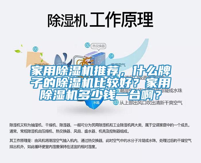 家用除濕機(jī)推薦，什么牌子的除濕機(jī)比較好？家用除濕機(jī)多少錢一臺(tái)??？