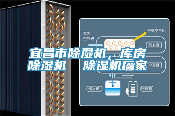 宜昌市除濕機(jī)，庫(kù)房除濕機(jī)  除濕機(jī)廠家
