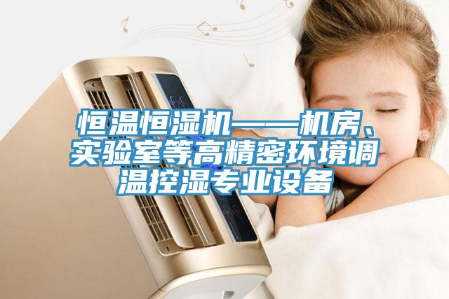 恒溫恒濕機——機房、實驗室等高精密環(huán)境調(diào)溫控濕專業(yè)設(shè)備