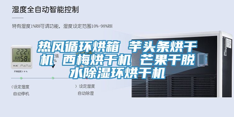 熱風循環(huán)烘箱 芋頭條烘干機 西梅烘干機 芒果干脫水除濕環(huán)烘干機