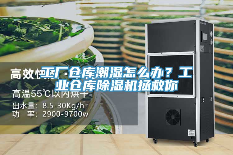 工廠倉庫潮濕怎么辦？工業(yè)倉庫除濕機(jī)拯救你