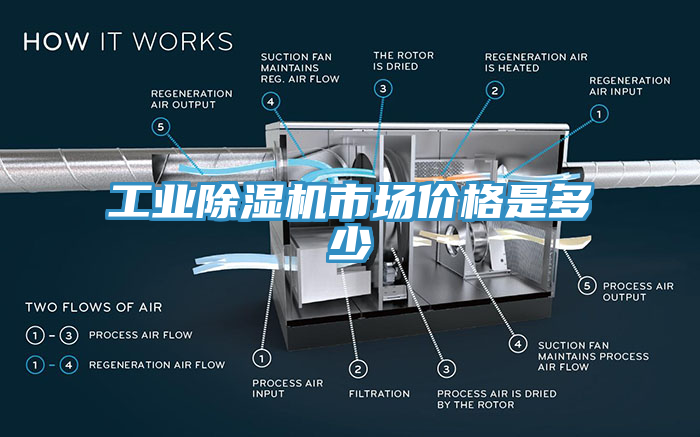 工業(yè)除濕機市場價格是多少