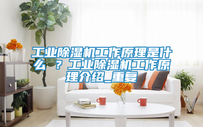 工業(yè)除濕機工作原理是什么 ？工業(yè)除濕機工作原理介紹_重復(fù)