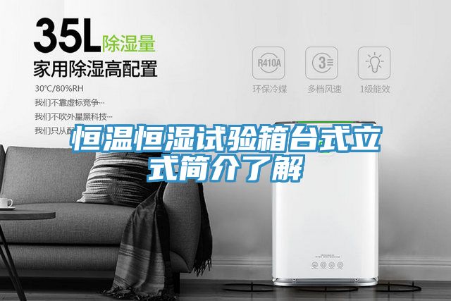 恒溫恒濕試驗箱臺式立式簡介了解