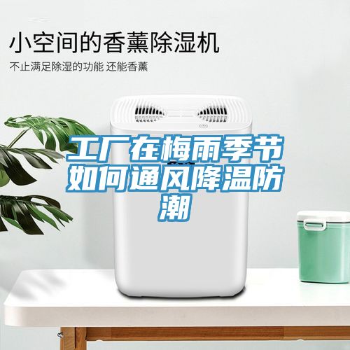 工廠在梅雨季節(jié)如何通風(fēng)降溫防潮