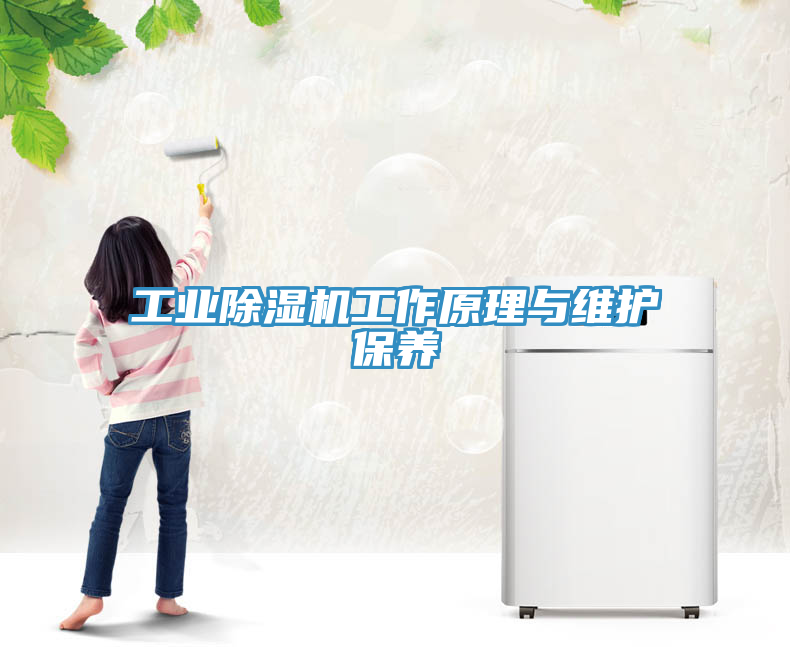 工業(yè)除濕機工作原理與維護保養(yǎng)