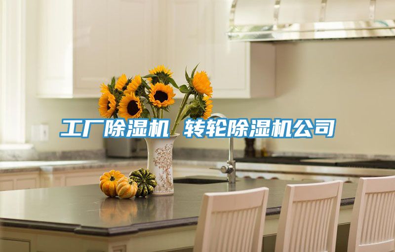 工廠除濕機 轉(zhuǎn)輪除濕機公司