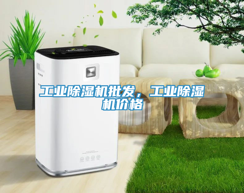 工業(yè)除濕機(jī)批發(fā)，工業(yè)除濕機(jī)價(jià)格