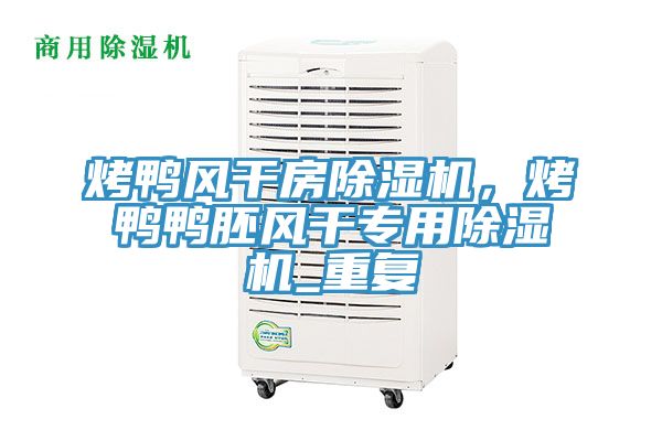 烤鴨風(fēng)干房除濕機(jī)，烤鴨鴨胚風(fēng)干專用除濕機(jī)_重復(fù)