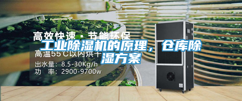 工業(yè)除濕機(jī)的原理，倉(cāng)庫(kù)除濕方案