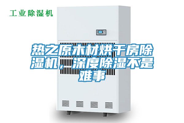 熱之原木材烘干房除濕機(jī)，深度除濕不是難事