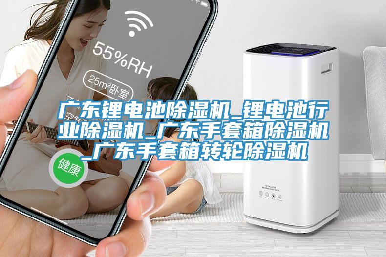 廣東鋰電池除濕機_鋰電池行業(yè)除濕機_廣東手套箱除濕機_廣東手套箱轉(zhuǎn)輪除濕機