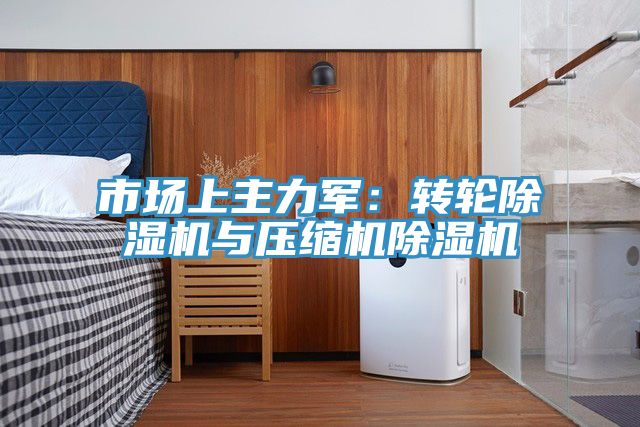 市場上主力軍：轉(zhuǎn)輪除濕機與壓縮機除濕機