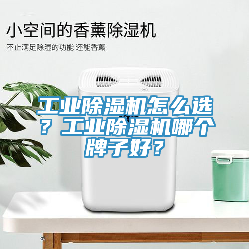 工業(yè)除濕機(jī)怎么選？工業(yè)除濕機(jī)哪個(gè)牌子好？