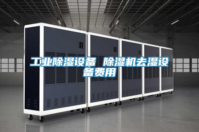 工業(yè)除濕設(shè)備 除濕機去濕設(shè)備費用