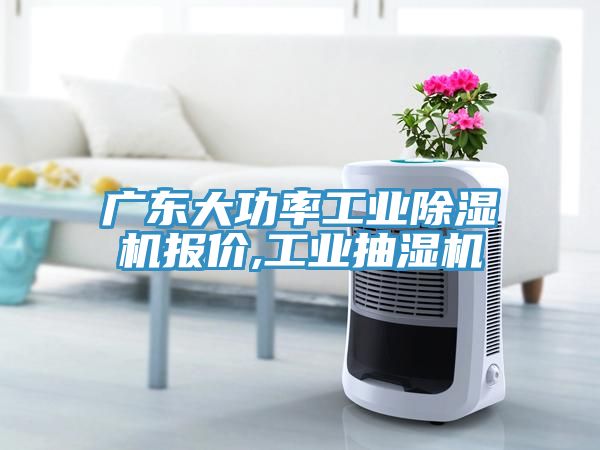廣東大功率工業(yè)除濕機(jī)報(bào)價(jià),工業(yè)抽濕機(jī)