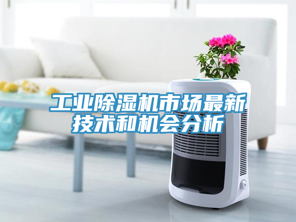 工業(yè)除濕機市場最新技術(shù)和機會分析