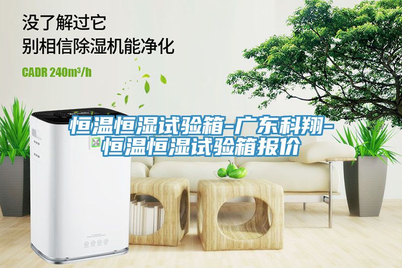 恒溫恒濕試驗(yàn)箱-廣東科翔-恒溫恒濕試驗(yàn)箱報價