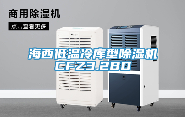 海西低溫冷庫(kù)型除濕機(jī)CFZ3.2BD