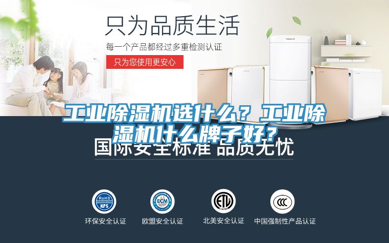 工業(yè)除濕機(jī)選什么？工業(yè)除濕機(jī)什么牌子好？