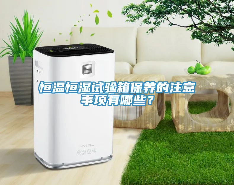 恒溫恒濕試驗(yàn)箱保養(yǎng)的注意事項(xiàng)有哪些？