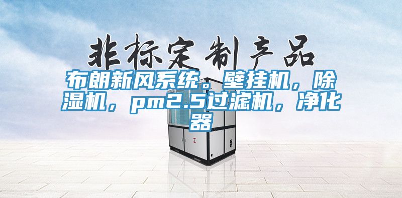 布朗新風(fēng)系統(tǒng)。壁掛機，除濕機，pm2.5過濾機，凈化器