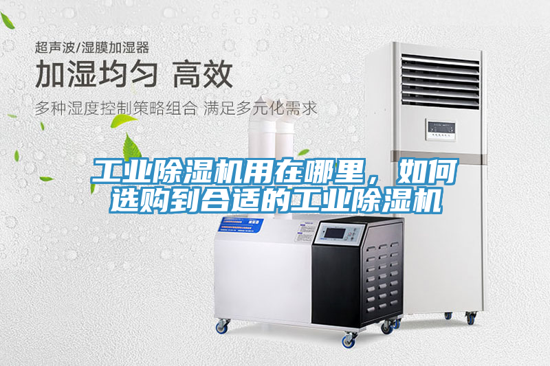 工業(yè)除濕機用在哪里，如何選購到合適的工業(yè)除濕機