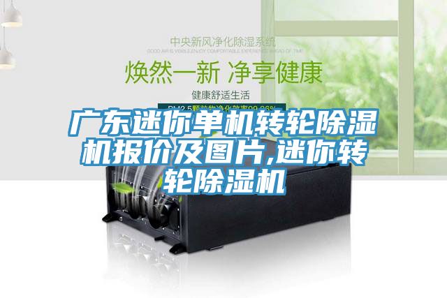 廣東迷你單機轉(zhuǎn)輪除濕機報價及圖片,迷你轉(zhuǎn)輪除濕機