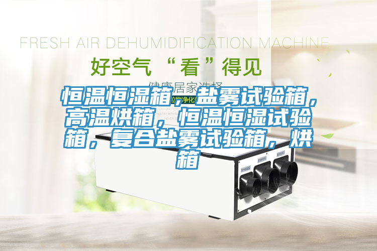 恒溫恒濕箱，鹽霧試驗箱，高溫烘箱，恒溫恒濕試驗箱，復合鹽霧試驗箱，烘箱