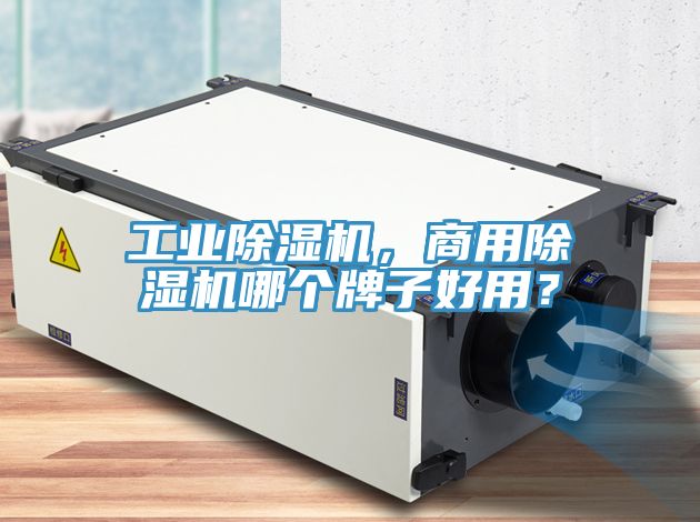 工業(yè)除濕機，商用除濕機哪個牌子好用？