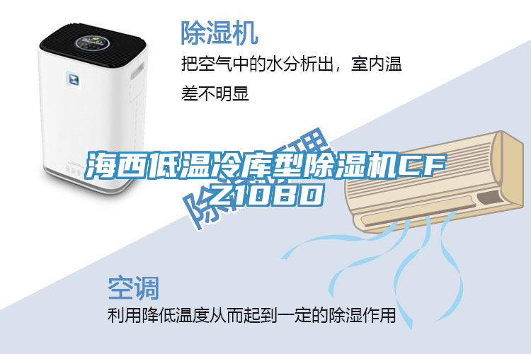 海西低溫冷庫(kù)型除濕機(jī)CFZ10BD