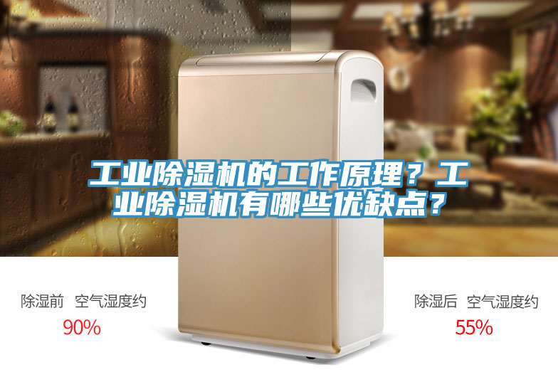 工業(yè)除濕機(jī)的工作原理？工業(yè)除濕機(jī)有哪些優(yōu)缺點(diǎn)？