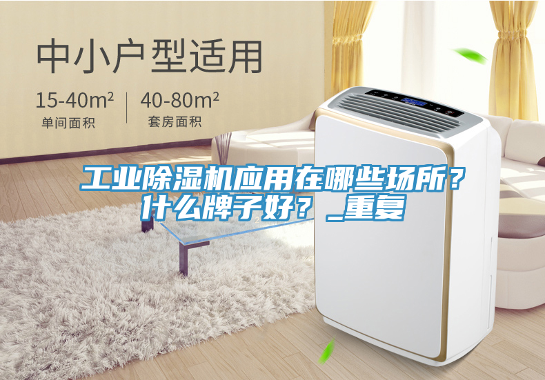 工業(yè)除濕機(jī)應(yīng)用在哪些場(chǎng)所？什么牌子好？_重復(fù)