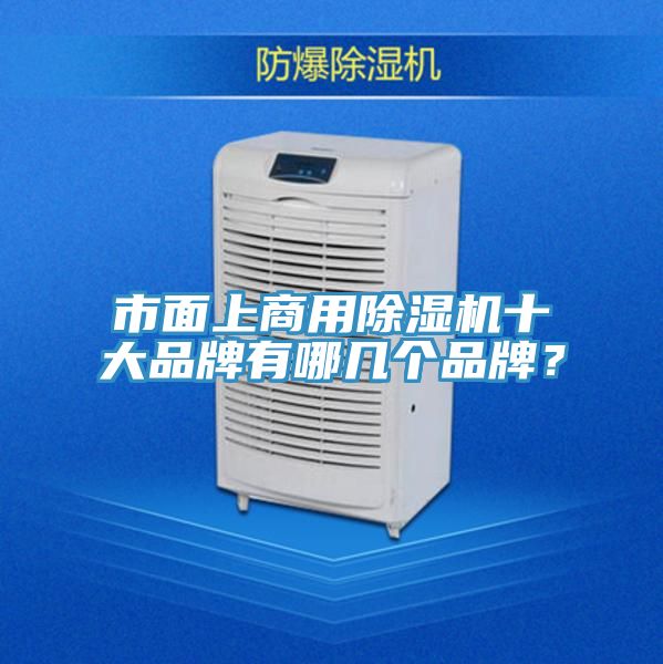 市面上商用除濕機十大品牌有哪幾個品牌？