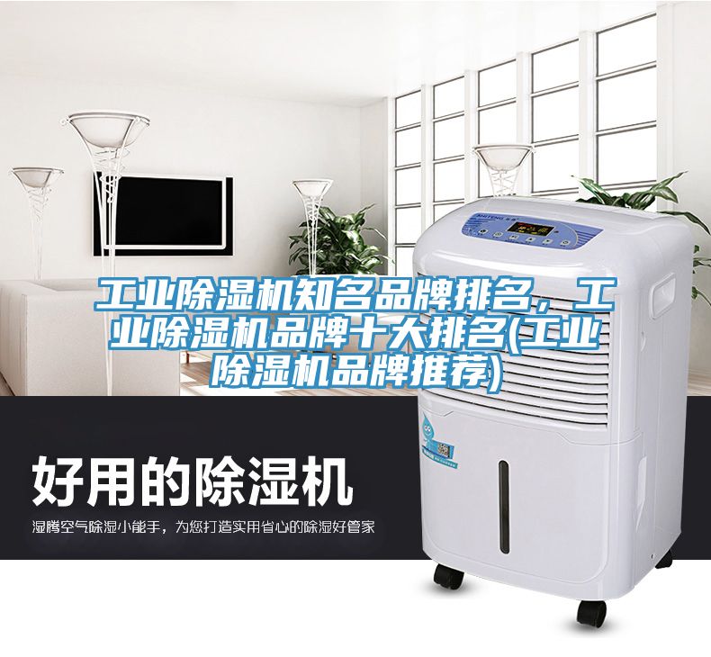 工業(yè)除濕機(jī)知名品牌排名，工業(yè)除濕機(jī)品牌十大排名(工業(yè)除濕機(jī)品牌推薦)