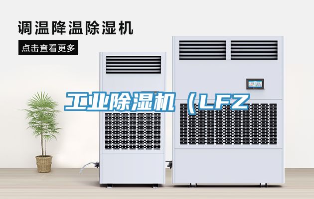 工業(yè)除濕機（LFZ