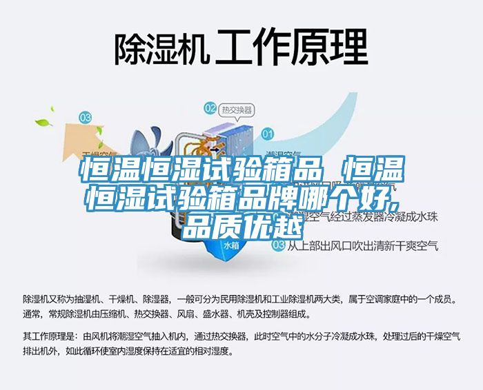 恒溫恒濕試驗箱品 恒溫恒濕試驗箱品牌哪個好,品質(zhì)優(yōu)越