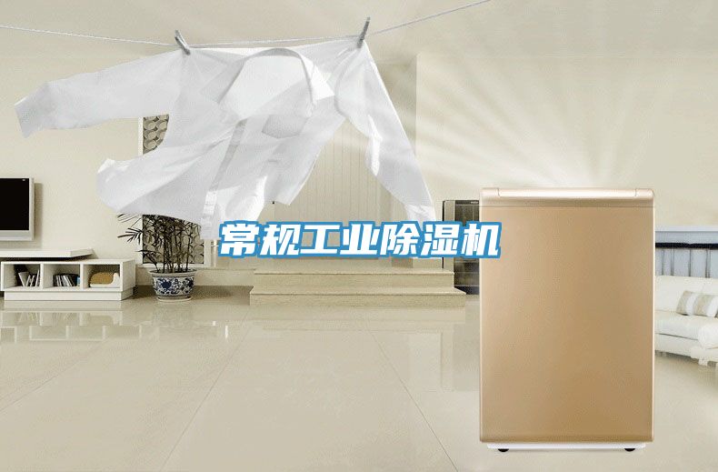 常規(guī)工業(yè)除濕機