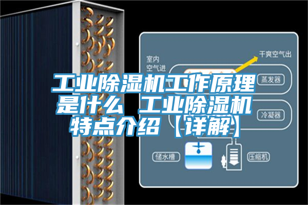 工業(yè)除濕機工作原理是什么 工業(yè)除濕機特點介紹【詳解】