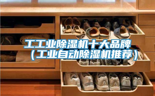 工工業(yè)除濕機十大品牌（工業(yè)自動除濕機推薦）