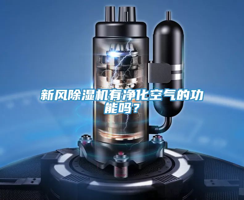 新風(fēng)除濕機(jī)有凈化空氣的功能嗎？