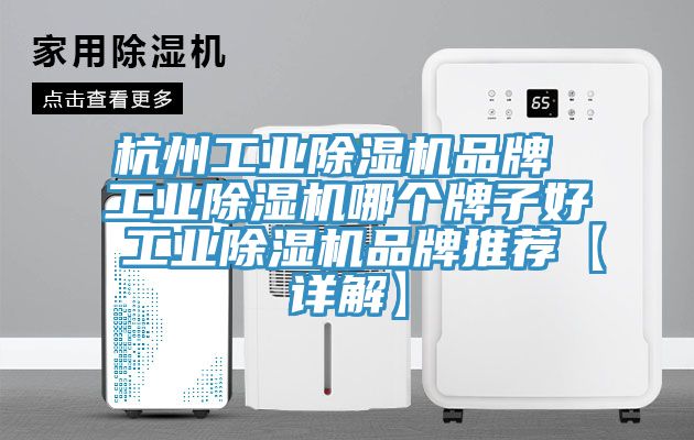 杭州工業(yè)除濕機(jī)品牌 工業(yè)除濕機(jī)哪個(gè)牌子好 工業(yè)除濕機(jī)品牌推薦【詳解】
